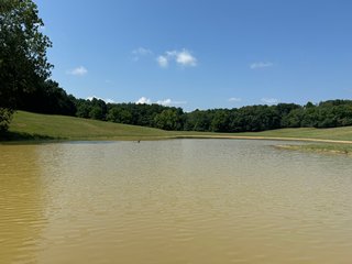 Property photo 16 - LAND AUCTION - 65+/- ACRES OFFERED IN 2 TRACTS IN WAYNE COUNTY, KENTUCKY