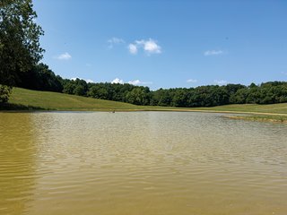 Property photo 17 - LAND AUCTION - 65+/- ACRES OFFERED IN 2 TRACTS IN WAYNE COUNTY, KENTUCKY