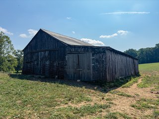Property photo 18 - LAND AUCTION - 65+/- ACRES OFFERED IN 2 TRACTS IN WAYNE COUNTY, KENTUCKY