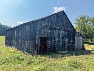 Property photo 19 - LAND AUCTION - 65+/- ACRES OFFERED IN 2 TRACTS IN WAYNE COUNTY, KENTUCKY