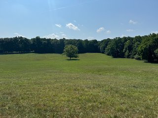 Property photo 21 - LAND AUCTION - 65+/- ACRES OFFERED IN 2 TRACTS IN WAYNE COUNTY, KENTUCKY