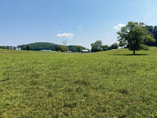 Property photo 22 - LAND AUCTION - 65+/- ACRES OFFERED IN 2 TRACTS IN WAYNE COUNTY, KENTUCKY