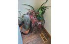 Property photo 7 - TIMED ONLINE ONLY PERSONAL PROPERTY AUCTION IN ALLEN COUNTY, INDIANA