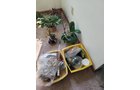 Property photo 18 - TIMED ONLINE ONLY PERSONAL PROPERTY AUCTION IN ALLEN COUNTY, INDIANA