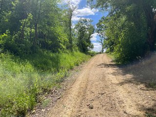 <b>Whether you're looking to cultivate the land, enjoy the tranquility of the countryside, or restore the farmhouse to its former glory, this farm offers endless possibilities. Don't miss your chance to own a piece of Grant County's rural beauty.</b><br><bR>
Discover the quietude and potential for this 46.54+/- acre farm situated in your own private living and farm space. This unique property offers a blend of open tillable land and wooded hillsides, providing the perfect canvas for your agricultural or recreational dreams. A 1,955 sq ft two-story house was moved to this property and set on a brand-new foundation. A brand new well and septic were then added before the owner moved and the house couldn't be brought back to new again.
<b>PROPERTY HIGHLIGHTS</b>
<b>**46.54+/- Acres**</b> of beautiful Wisconsin countryside.
<b>**30 Tillable Acres**</b> Fertile land on top of the hill, ready for your crops or other agricultural pursuits.
<b>**Scenic Wooded Hillsides**</b> Surrounding the north and east sides, offering privacy and a natural backdrop.
<b>**Old Farmhouse**</b> A historic house moved from another location, now with a brand new well, septic system, and foundation. The interior is a blank slate, down to the studs, ready for your custom renovation.
<b>**Newly Graveled Driveway**</b> Breaker Rock Covered with Brand New Fines ensures easy and reliable access to the property, with the house set back off the road for added seclusion. - FARM PLUS MORE FOR SALE - 46.54+/- ACRES IN GRANT COUNTY, WISCONSIN