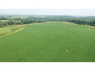 Property photo 12 - FARM PLUS MORE FOR SALE - 46.54+/- ACRES IN GRANT COUNTY, WISCONSIN
