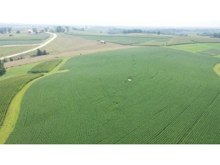 Property photo 14 - FARM PLUS MORE FOR SALE - 46.54+/- ACRES IN GRANT COUNTY, WISCONSIN