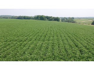 Property photo 15 - FARM PLUS MORE FOR SALE - 46.54+/- ACRES IN GRANT COUNTY, WISCONSIN