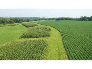 Property photo 17 - FARM PLUS MORE FOR SALE - 46.54+/- ACRES IN GRANT COUNTY, WISCONSIN