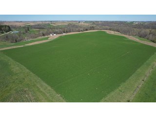 Property photo 8 - FARM PLUS MORE FOR SALE - 46.54+/- ACRES IN GRANT COUNTY, WISCONSIN