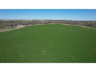 Property photo 9 - FARM PLUS MORE FOR SALE - 46.54+/- ACRES IN GRANT COUNTY, WISCONSIN