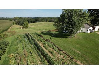 Whether looking for a homestead, farmette or an affordable way to start farming, this 17+/-acre property offers just the right size for a variety of  interests. The building site contains a 2-story house, a shed and barn with great access to Highway 81. Perfect for any type of livestock from cattle, sheep, or horses, the 15+/- acre pasture lays nicely with 2 ponds to provide a natural source of water. There is plenty of room for growing a beautiful garden and to raise your own chickens. The house and buildings sit in the front corner of the property creating an ideal balance of having livestock close-by but enough separation for when you need some time to yourself. Enjoy green pastures and country living on this affordable piece of Grant County.<BR>
<B>HOUSE:</b>
-2 Bed; 2 Bath
-Approximately 2,200 sq ft
-Newer Well (2018)
-No Electricity
-No Furnace/AC<br>
<b>SHED:</b>
Dimensions - 52'x32'<br>
<b>BARN:</b>
Dimensions - 56'x41'; 44'x40' - REAL ESTATE FOR SALE-17+/-ACRES IN GRANT COUNTY WISCONSIN