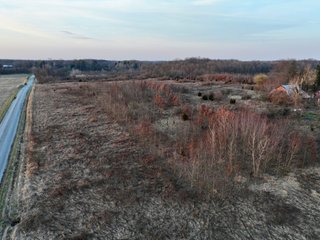 This is 53+/- acres of gently rolling recreational land in Noble County. The property consists of roughly 8+/- acres of timberland with some potential timber opportunities. The rest of the property is in USDA and FSA programs that expire September 31st, 2024. New owner has opportunity to reinstate these programs if applied for before July 31st, 2024, not guaranteed. Property has very good road frontage along S 400 E as well as E 500 S. Would make an excellent home building site or hunting property. Look in! - LAND FOR SALE - 53+/- ACRES IN NOBLE COUNTY, INDIANA