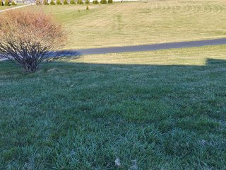  4.73 acres, 2030 +/- Sq. ft finished area and a full walkout basement ready to be finished, with plumbing for an extra bath there is a sink and bathtub to be installed , 2 bedrooms, potential for 3rd bedroom. Large Master bedroom with bath, shower and jetted tub, walk in Closet.  2 & 1/2 baths, living room, kitchen with custom cabinets, appliances, formal dining room,  screened porch, utilities in the basement, newer geothermal heat, Culligan softener &  attached garage. 24ft x 32ft Storage building. Don't miss this opportunity to buy this ready to move in home! - REAL ESTATE FOR SALE - 4.73+/- ACRES IN WHITLEY COUNTY, INDIANA