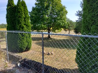 Beautiful country home. 2,692+/- finished sq. ft. home or a total of  3,588+/- sq. ft., 2 pole buildings 40'x75' & 50'x50' w/ interconnecting corridor, both heated & insulated. One has been used as a shop/storage/commercially & has water & rest room. The other has multi-uses w/ tile flooring, full bath & kitchenette great for get-togethers, auto storage & many other uses & a 32'x40' pole building w/ gravel floor great for horses & livestock or extra storage, an additional separate 2 car garage. The home has had many updates most noticeably a totally remodeled master suite, flooring throughout the home, a second main floor bedroom w/ walkout deck & patio, there is a 3rd bedroom, upstairs & large landing w/ room for an extra bed. One & a half baths, large living room, sliding door to deck & patio. Eat in kitchen w/ appliances, a separate dining area. Central air & heat pump. Shady rear patio & deck. The basement is partially finished. There are many updates & amenities too numerous to mention & must be seen in person. A great property for storage, business, hobbies and/or livestock. Stocked fish pond, pasture & potential building site. Come & investigate the potential. - REAL ESTATE FOR SALE - 10.2+/- ACRES IN WHITLEY COUNTY INDIANA