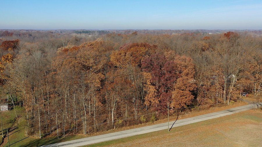 For sale: WOODED SITE FOR SALE - 6+/- ACRES, IN WHITLEY COUNTY, IN - Near Widman Road