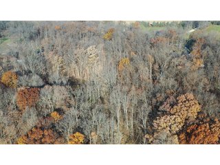 Property photo 7 - WOODED SITE FOR SALE - 6+/- ACRES, IN WHITLEY COUNTY, IN