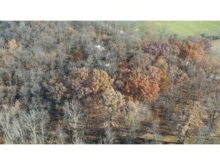 Property photo 8 - WOODED SITE FOR SALE - 6+/- ACRES, IN WHITLEY COUNTY, IN