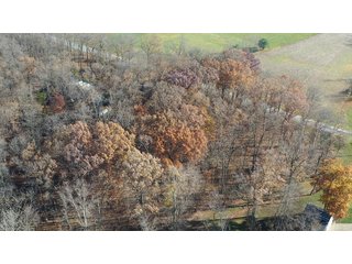 Property photo 9 - WOODED SITE FOR SALE - 6+/- ACRES, IN WHITLEY COUNTY, IN