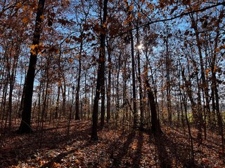 Explore the potential of this 6+/- acre wooded site for your dream home or recreational retreat! Just minutes from Columbia City, Parkview Hospital, and US 30, this property offers a quiet country feel with great convenience. Zoned residential, with low taxes (2023 total: $392), and within Whitley County Consolidated Schools, Columbia Township.
Ready to discuss the possibilities?
Contact Kevin today! - WOODED SITE FOR SALE - 6+/- ACRES, IN WHITLEY COUNTY, IN