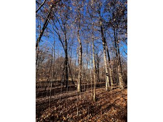 Explore the potential of this 6+/- acre wooded site for your dream home or recreational retreat! Just minutes from Columbia City, Parkview Hospital, and US 30, this property offers a quiet country feel with great convenience. Zoned residential, with low taxes (2023 total: $392), and within Whitley County Consolidated Schools, Columbia Township.
Ready to discuss the possibilities?
Contact Kevin today! - WOODED SITE FOR SALE - 6+/- ACRES, IN WHITLEY COUNTY, IN