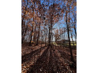 Explore the potential of this 6+/- acre wooded site for your dream home or recreational retreat! Just minutes from Columbia City, Parkview Hospital, and US 30, this property offers a quiet country feel with great convenience. Zoned residential, with low taxes (2023 total: $392), and within Whitley County Consolidated Schools, Columbia Township.
Ready to discuss the possibilities?
Contact Kevin today! - WOODED SITE FOR SALE - 6+/- ACRES, IN WHITLEY COUNTY, IN