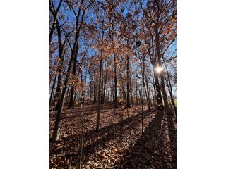 Explore the potential of this 6+/- acre wooded site for your dream home or recreational retreat! Just minutes from Columbia City, Parkview Hospital, and US 30, this property offers a quiet country feel with great convenience. Zoned residential, with low taxes (2023 total: $392), and within Whitley County Consolidated Schools, Columbia Township.
Ready to discuss the possibilities?
Contact Kevin today! - WOODED SITE FOR SALE - 6+/- ACRES, IN WHITLEY COUNTY, IN