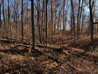 Property photo 19 - WOODED SITE FOR SALE - 6+/- ACRES, IN WHITLEY COUNTY, IN