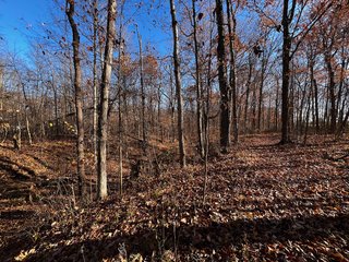 Explore the potential of this 6+/- acre wooded site for your dream home or recreational retreat! Just minutes from Columbia City, Parkview Hospital, and US 30, this property offers a quiet country feel with great convenience. Zoned residential, with low taxes (2023 total: $392), and within Whitley County Consolidated Schools, Columbia Township.
Ready to discuss the possibilities?
Contact Kevin today! - WOODED SITE FOR SALE - 6+/- ACRES, IN WHITLEY COUNTY, IN