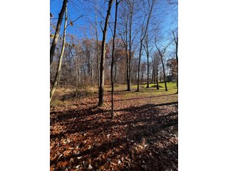 Explore the potential of this 6+/- acre wooded site for your dream home or recreational retreat! Just minutes from Columbia City, Parkview Hospital, and US 30, this property offers a quiet country feel with great convenience. Zoned residential, with low taxes (2023 total: $392), and within Whitley County Consolidated Schools, Columbia Township.
Ready to discuss the possibilities?
Contact Kevin today! - WOODED SITE FOR SALE - 6+/- ACRES, IN WHITLEY COUNTY, IN