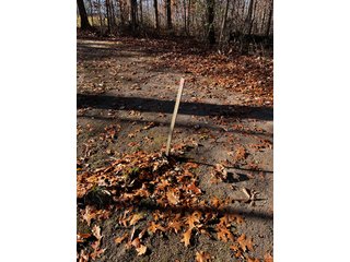 Property photo 18 - WOODED SITE FOR SALE - 6+/- ACRES, IN WHITLEY COUNTY, IN