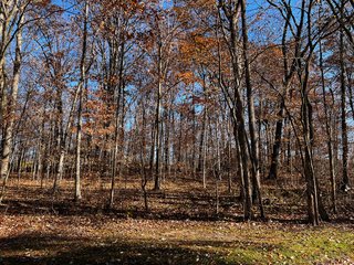 Property photo 1 - WOODED SITE FOR SALE - 6+/- ACRES, IN WHITLEY COUNTY, IN
