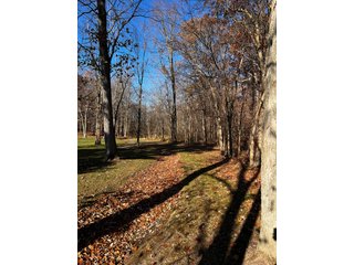 Explore the potential of this 6+/- acre wooded site for your dream home or recreational retreat! Just minutes from Columbia City, Parkview Hospital, and US 30, this property offers a quiet country feel with great convenience. Zoned residential, with low taxes (2023 total: $392), and within Whitley County Consolidated Schools, Columbia Township.
Ready to discuss the possibilities?
Contact Kevin today! - WOODED SITE FOR SALE - 6+/- ACRES, IN WHITLEY COUNTY, IN