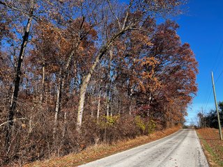 Property photo 5 - WOODED SITE FOR SALE - 6+/- ACRES, IN WHITLEY COUNTY, IN