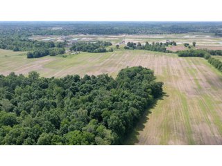 <li>Road Frontage on Bass and Eme Roads
<li>Just South of Arcola
<li>Mostly Tillable & Woods
<li>Residential Development Potential
<lI>Northwest Allen County Schools<br><bR>
<b>UTILITIES</b><br>
Electric - Indiana Michigan Power Company
Sewer - Aqua Indiana & City Utilities
Water - City Utilities - 144+/- ACRES FOR SALE IN ALLEN COUNTY, INDIANA - PRICE REDUCED