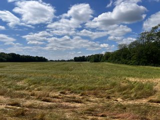 <li>Road Frontage on Bass and Eme Roads
<li>Just South of Arcola
<li>Mostly Tillable & Woods
<li>Residential Development Potential
<lI>Northwest Allen County Schools<br><bR>
<b>UTILITIES</b><br>
Electric - Indiana Michigan Power Company
Sewer - Aqua Indiana & City Utilities
Water - City Utilities - 144+/- ACRES FOR SALE IN ALLEN COUNTY, INDIANA - PRICE REDUCED
