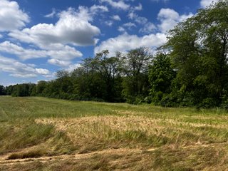 <li>Road Frontage on Bass and Eme Roads
<li>Just South of Arcola
<li>Mostly Tillable & Woods
<li>Residential Development Potential
<lI>Northwest Allen County Schools<br><bR>
<b>UTILITIES</b><br>
Electric - Indiana Michigan Power Company
Sewer - Aqua Indiana & City Utilities
Water - City Utilities - 144+/- ACRES FOR SALE IN ALLEN COUNTY, INDIANA - PRICE REDUCED