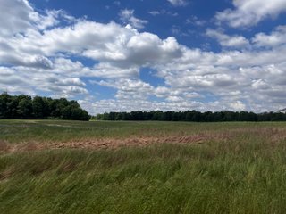 <li>Road Frontage on Bass and Eme Roads
<li>Just South of Arcola
<li>Mostly Tillable & Woods
<li>Residential Development Potential
<lI>Northwest Allen County Schools<br><bR>
<b>UTILITIES</b><br>
Electric - Indiana Michigan Power Company
Sewer - Aqua Indiana & City Utilities
Water - City Utilities - 144+/- ACRES FOR SALE IN ALLEN COUNTY, INDIANA - PRICE REDUCED