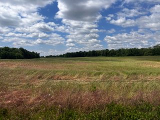 <li>Road Frontage on Bass and Eme Roads
<li>Just South of Arcola
<li>Mostly Tillable & Woods
<li>Residential Development Potential
<lI>Northwest Allen County Schools<br><bR>
<b>UTILITIES</b><br>
Electric - Indiana Michigan Power Company
Sewer - Aqua Indiana & City Utilities
Water - City Utilities - 144+/- ACRES FOR SALE IN ALLEN COUNTY, INDIANA - PRICE REDUCED