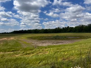 <li>Road Frontage on Bass and Eme Roads
<li>Just South of Arcola
<li>Mostly Tillable & Woods
<li>Residential Development Potential
<lI>Northwest Allen County Schools<br><bR>
<b>UTILITIES</b><br>
Electric - Indiana Michigan Power Company
Sewer - Aqua Indiana & City Utilities
Water - City Utilities - 144+/- ACRES FOR SALE IN ALLEN COUNTY, INDIANA - PRICE REDUCED