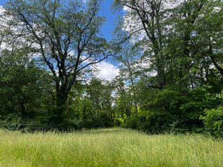 <li>Road Frontage on Bass and Eme Roads
<li>Just South of Arcola
<li>Mostly Tillable & Woods
<li>Residential Development Potential
<lI>Northwest Allen County Schools<br><bR>
<b>UTILITIES</b><br>
Electric - Indiana Michigan Power Company
Sewer - Aqua Indiana & City Utilities
Water - City Utilities - 144+/- ACRES FOR SALE IN ALLEN COUNTY, INDIANA - PRICE REDUCED