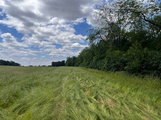 <li>Road Frontage on Bass and Eme Roads
<li>Just South of Arcola
<li>Mostly Tillable & Woods
<li>Residential Development Potential
<lI>Northwest Allen County Schools<br><bR>
<b>UTILITIES</b><br>
Electric - Indiana Michigan Power Company
Sewer - Aqua Indiana & City Utilities
Water - City Utilities - 144+/- ACRES FOR SALE IN ALLEN COUNTY, INDIANA - PRICE REDUCED