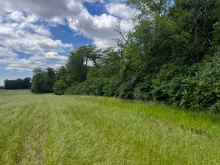 <li>Road Frontage on Bass and Eme Roads
<li>Just South of Arcola
<li>Mostly Tillable & Woods
<li>Residential Development Potential
<lI>Northwest Allen County Schools<br><bR>
<b>UTILITIES</b><br>
Electric - Indiana Michigan Power Company
Sewer - Aqua Indiana & City Utilities
Water - City Utilities - 144+/- ACRES FOR SALE IN ALLEN COUNTY, INDIANA - PRICE REDUCED