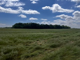 <li>Road Frontage on Bass and Eme Roads
<li>Just South of Arcola
<li>Mostly Tillable & Woods
<li>Residential Development Potential
<lI>Northwest Allen County Schools<br><bR>
<b>UTILITIES</b><br>
Electric - Indiana Michigan Power Company
Sewer - Aqua Indiana & City Utilities
Water - City Utilities - 144+/- ACRES FOR SALE IN ALLEN COUNTY, INDIANA - PRICE REDUCED
