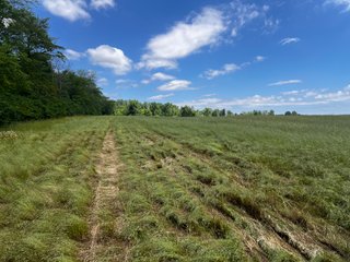 <li>Road Frontage on Bass and Eme Roads
<li>Just South of Arcola
<li>Mostly Tillable & Woods
<li>Residential Development Potential
<lI>Northwest Allen County Schools<br><bR>
<b>UTILITIES</b><br>
Electric - Indiana Michigan Power Company
Sewer - Aqua Indiana & City Utilities
Water - City Utilities - 144+/- ACRES FOR SALE IN ALLEN COUNTY, INDIANA - PRICE REDUCED