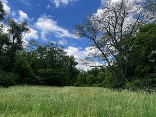 <li>Road Frontage on Bass and Eme Roads
<li>Just South of Arcola
<li>Mostly Tillable & Woods
<li>Residential Development Potential
<lI>Northwest Allen County Schools<br><bR>
<b>UTILITIES</b><br>
Electric - Indiana Michigan Power Company
Sewer - Aqua Indiana & City Utilities
Water - City Utilities - 144+/- ACRES FOR SALE IN ALLEN COUNTY, INDIANA - PRICE REDUCED