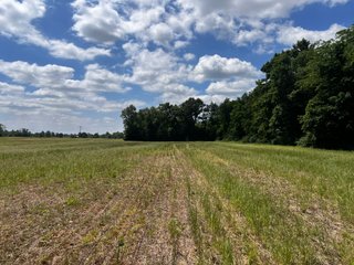 <li>Road Frontage on Bass and Eme Roads
<li>Just South of Arcola
<li>Mostly Tillable & Woods
<li>Residential Development Potential
<lI>Northwest Allen County Schools<br><bR>
<b>UTILITIES</b><br>
Electric - Indiana Michigan Power Company
Sewer - Aqua Indiana & City Utilities
Water - City Utilities - 144+/- ACRES FOR SALE IN ALLEN COUNTY, INDIANA - PRICE REDUCED