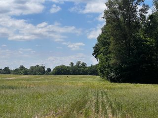<li>Road Frontage on Bass and Eme Roads
<li>Just South of Arcola
<li>Mostly Tillable & Woods
<li>Residential Development Potential
<lI>Northwest Allen County Schools<br><bR>
<b>UTILITIES</b><br>
Electric - Indiana Michigan Power Company
Sewer - Aqua Indiana & City Utilities
Water - City Utilities - 144+/- ACRES FOR SALE IN ALLEN COUNTY, INDIANA - PRICE REDUCED
