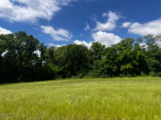 <li>Road Frontage on Bass and Eme Roads
<li>Just South of Arcola
<li>Mostly Tillable & Woods
<li>Residential Development Potential
<lI>Northwest Allen County Schools<br><bR>
<b>UTILITIES</b><br>
Electric - Indiana Michigan Power Company
Sewer - Aqua Indiana & City Utilities
Water - City Utilities - 144+/- ACRES FOR SALE IN ALLEN COUNTY, INDIANA - PRICE REDUCED