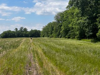 <li>Road Frontage on Bass and Eme Roads
<li>Just South of Arcola
<li>Mostly Tillable & Woods
<li>Residential Development Potential
<lI>Northwest Allen County Schools<br><bR>
<b>UTILITIES</b><br>
Electric - Indiana Michigan Power Company
Sewer - Aqua Indiana & City Utilities
Water - City Utilities - 144+/- ACRES FOR SALE IN ALLEN COUNTY, INDIANA - PRICE REDUCED
